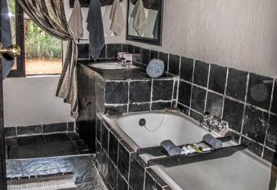 Ezulwini River Lodge beneath fig and natal mahogany trees Olifants River Balule South Africa