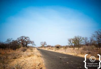 Kruger National Park river landscape waterhole wildlife viewing South Africa