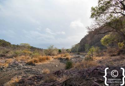 Safari sundowner drinks in Kruger National Park bushveld South Africa