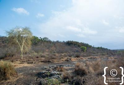 Open 4x4 safari vehicle on game drive Kruger National Park South Africa