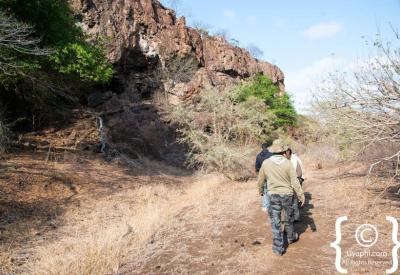 Open 4x4 safari vehicle on game drive Kruger National Park South Africa