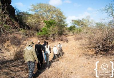 Open 4x4 safari vehicle on game drive Kruger National Park South Africa