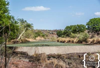 Mopane woodland savannah landscape Kruger National Park South Africa