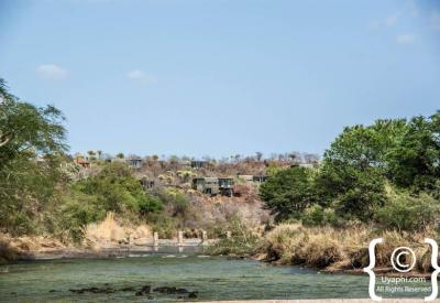 Mopane woodland savannah landscape Kruger National Park South Africa