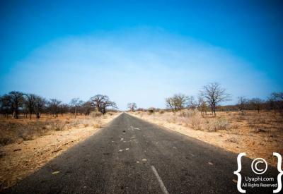 Kruger National Park river landscape waterhole wildlife viewing South Africa