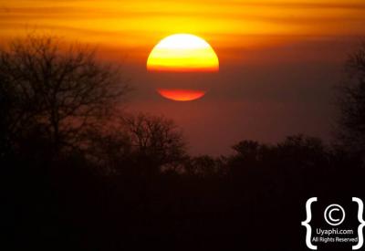 Panoramic bushveld plains Kruger National Park safari landscape South Africa