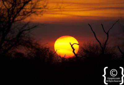 Panoramic bushveld plains Kruger National Park safari landscape South Africa