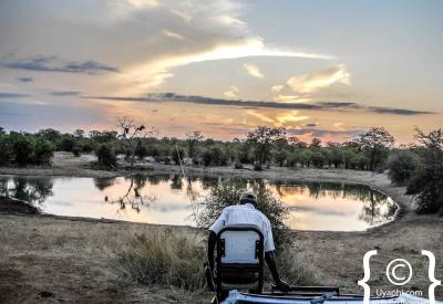 Golden hour dawn over Kruger National Park African bushveld South Africa