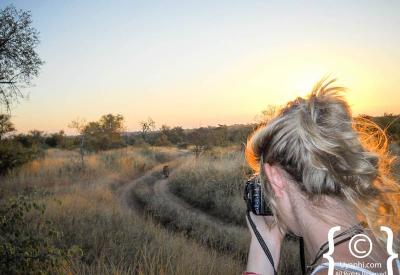 Starlit African night sky over Kruger National Park bushveld South Africa