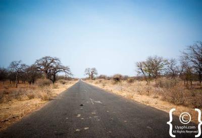 Kruger National Park river landscape waterhole wildlife viewing South Africa