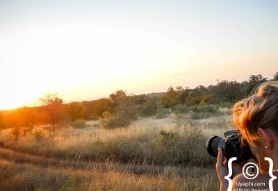 Starlit African night sky over Kruger National Park bushveld South Africa