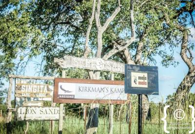 Dry season Kruger National Park sparse bushveld waterhole South Africa