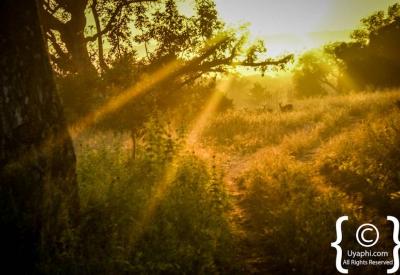 Kruger National Park scenic African wilderness landscapes South Africa safari