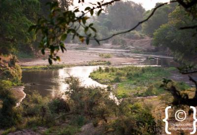 Kruger National Park river landscape waterhole wildlife viewing South Africa