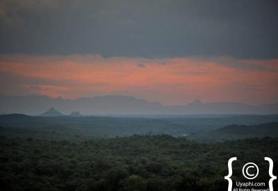 Kruger National Park scenic African wilderness landscapes South Africa safari