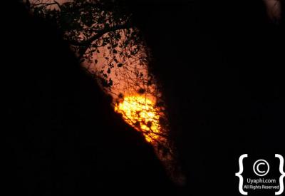 African sunset over Kruger National Park bushveld South Africa safari