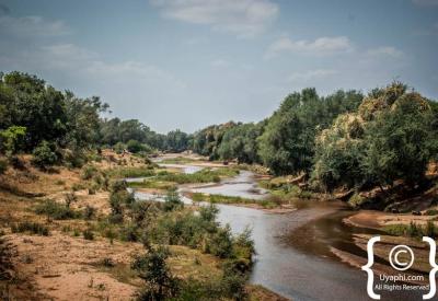 Safari sundowner drinks in Kruger National Park bushveld South Africa