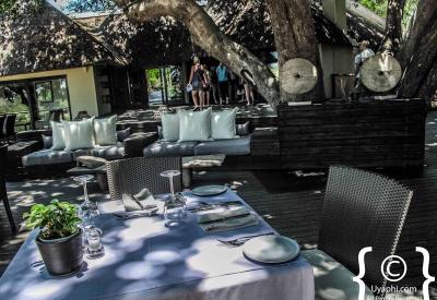 Lion Sands Ivory Lodge six-suite luxury lodge Sabi Sand Game Reserve South Africa