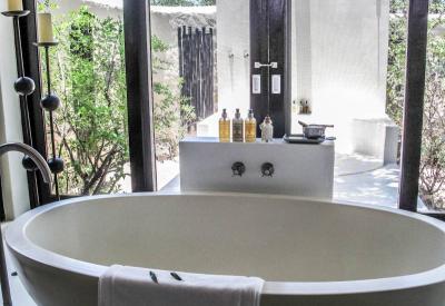 Lion Sands Ivory Lodge Star Bed overnight treehouse Sabi Sand Game Reserve South Africa