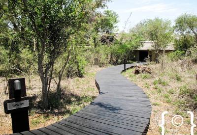 Lion Sands Ivory Lodge Big Five game drive Sabi Sand Game Reserve South Africa
