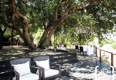 Big Five wildlife sighting Lion Sands Ivory Lodge Sabi Sand Greater Kruger South Africa