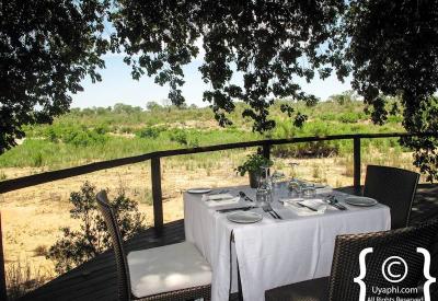 Lion Sands Ivory Lodge ultra-luxury exclusive Sabi Sand Game Reserve South Africa