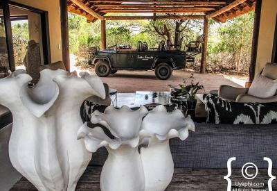 Lion Sands Ivory Lodge private heated plunge pool suite Sabi Sand Game Reserve