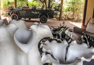 Lion Sands Ivory Lodge private heated plunge pool suite Sabi Sand Game Reserve