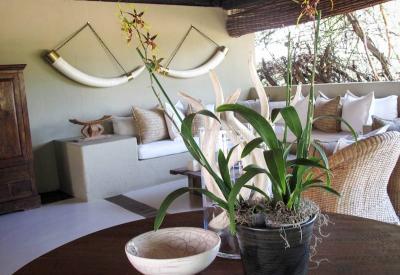 Lion Sands River Lodge suite private veranda Sabie River Sabi Sand Game Reserve
