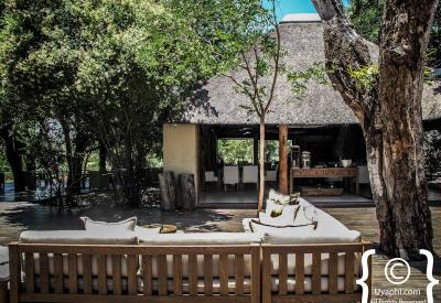 Wildlife viewing from suite veranda Lion Sands River Lodge Sabie River South Africa