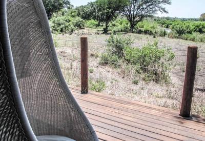 Big Five game drive Lion Sands River Lodge Sabi Sand Game Reserve South Africa