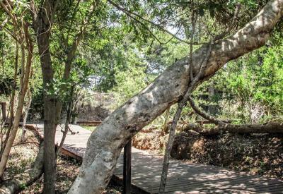 Lion Sands River Lodge views into Kruger National Park Sabie River South Africa