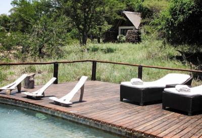 Wildlife sighting at Lion Sands River Lodge Sabie River Sabi Sand South Africa