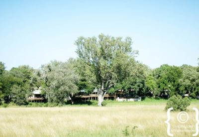 Nottens Bush Camp safari suite private viewing deck Sabi Sand Game Reserve South Africa