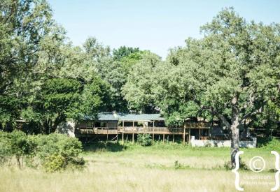 Nottens Bush Camp safari suite private viewing deck Sabi Sand Game Reserve South Africa