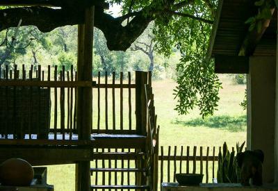 Nottens Bush Camp open-plan safari suite interior Sabi Sand Game Reserve South Africa