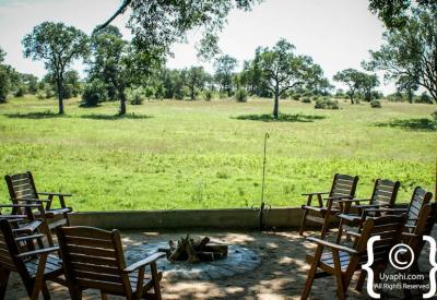 Nottens Bush Camp open-plan safari suite interior Sabi Sand Game Reserve South Africa