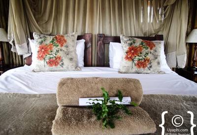 nThambo Tree Camp swimming pool Klaserie Game Reserve Greater Kruger South Africa