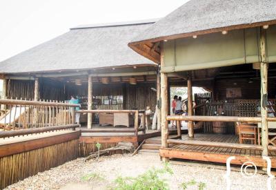 Morning walking safari nThambo Tree Camp Africa on Foot Klaserie Game Reserve South Africa
