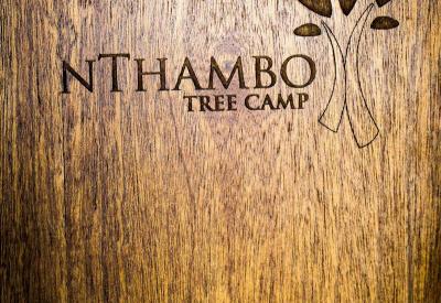Open 4x4 game drive nThambo Tree Camp Klaserie Game Reserve South Africa