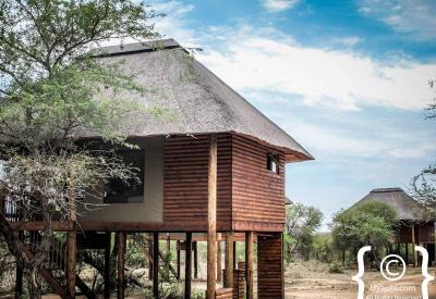 nThambo Tree Camp intimate safari camp Klaserie Greater Kruger South Africa