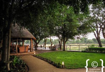 Outstanding birdlife from Umkumbe Safari Lodge Sand River Sabi Sand South Africa
