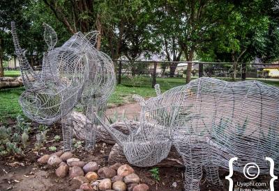 Umkumbe Safari Lodge dining and communal areas Sabi Sand Game Reserve South Africa