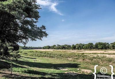 Umkumbe Safari Lodge chalet private deck air-conditioning Sabi Sand South Africa