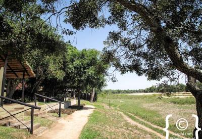 Sand River bushveld scenery Umkumbe Safari Lodge Sabi Sand Game Reserve South Africa
