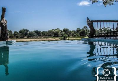 Umkumbe Safari Lodge affordable luxury safari Sabi Sand Greater Kruger South Africa