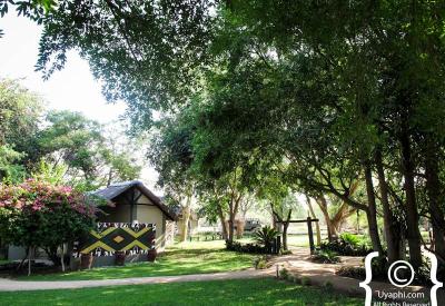 Umkumbe Safari Lodge luxury chalet interior Sabi Sand Game Reserve South Africa