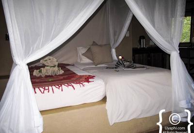 Umlani Bush Camp thatched chalet open veranda Timbavati Game Reserve South Africa