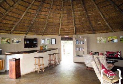 Guided bush walk armed ranger Umlani Bush Camp Timbavati Game Reserve South Africa