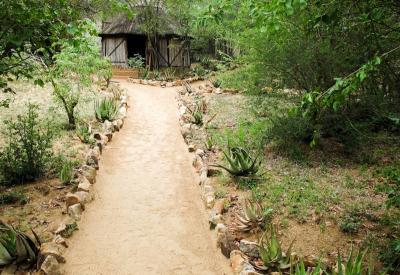 Open vehicle Big Five game drive Umlani Bush Camp Timbavati Game Reserve South Africa